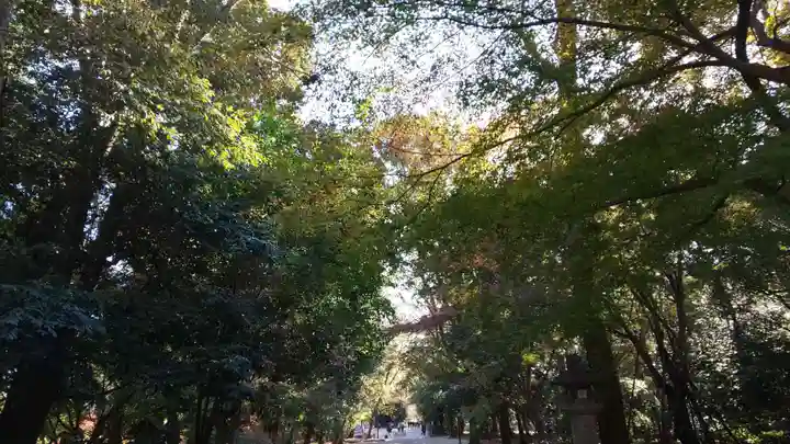 賀茂御祖神社(下鴨神社)の自然
