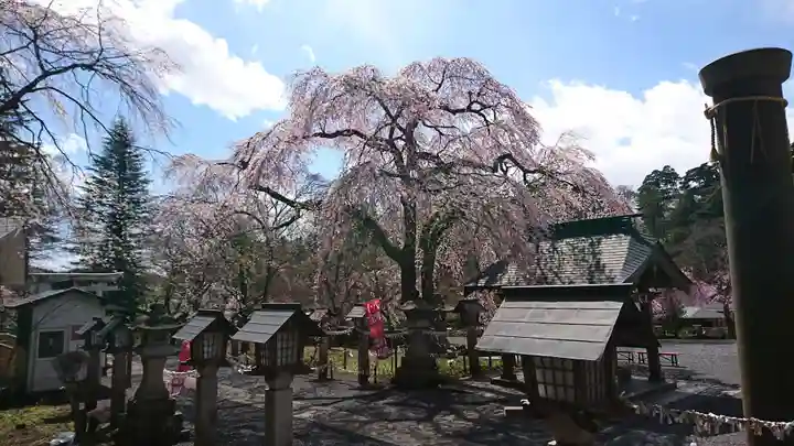 南湖神社の自然
