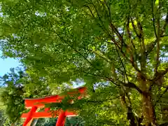 丹生川上神社（下社）(奈良県)