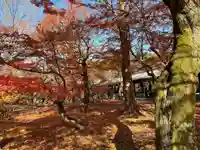 東福禅寺(東福寺)(京都府)