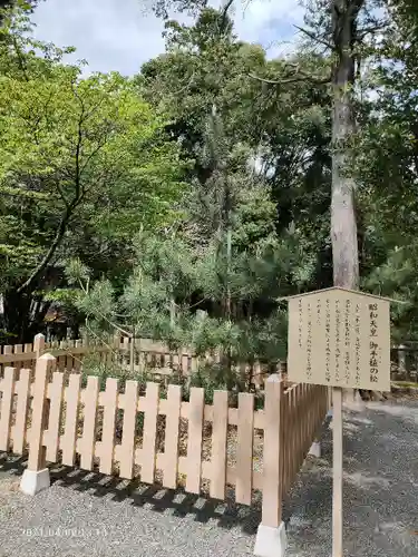 伊豆山神社の自然