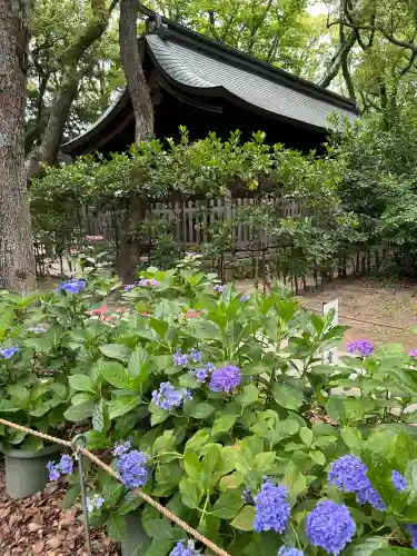 筥崎宮(福岡県)