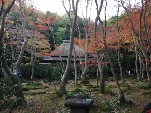 祇王寺の庭園