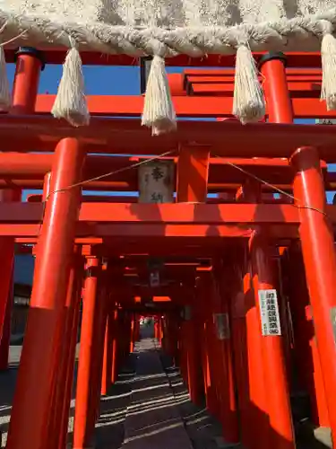 小泉稲荷神社の鳥居