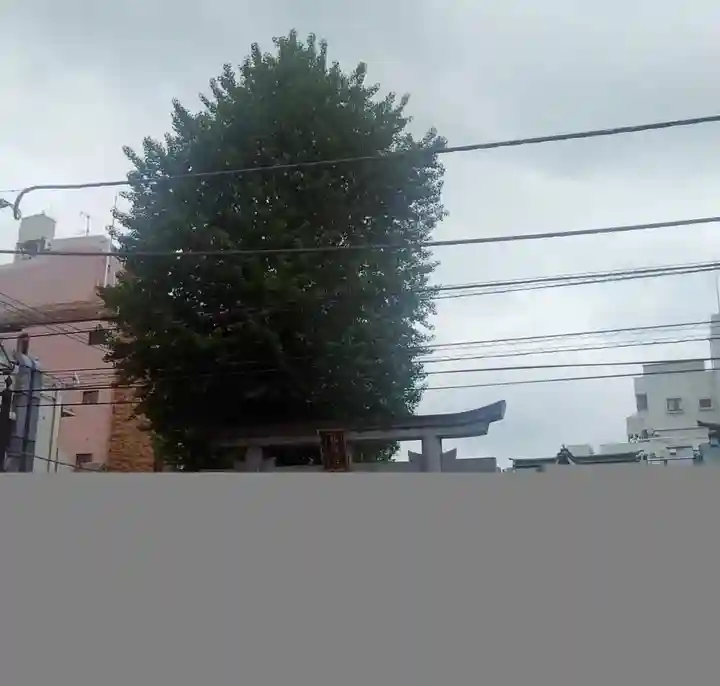 柏神社(千葉県)