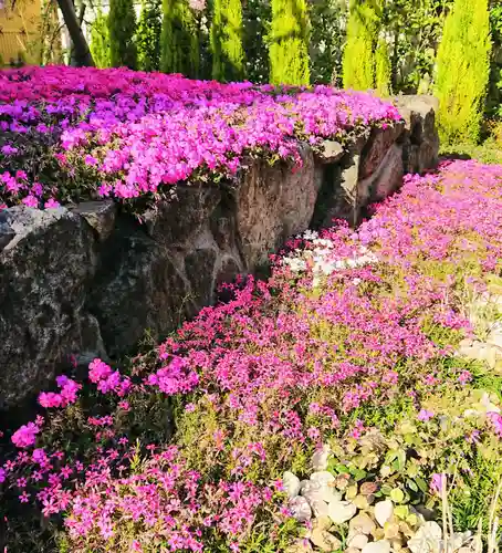 寿量山　速成寺の庭園