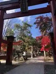 彌彦神社　(伊夜日子神社)(北海道)