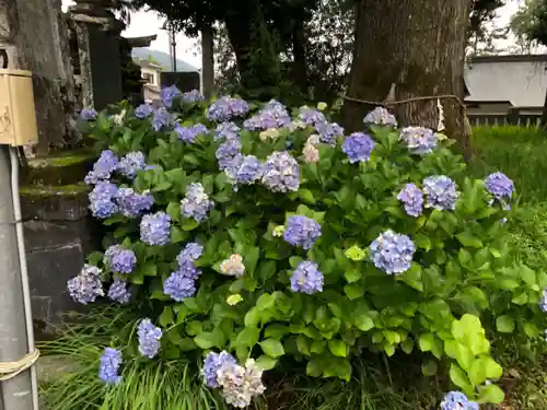 大川上美良布神社の自然