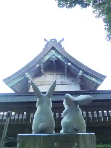 出雲大社の狛犬