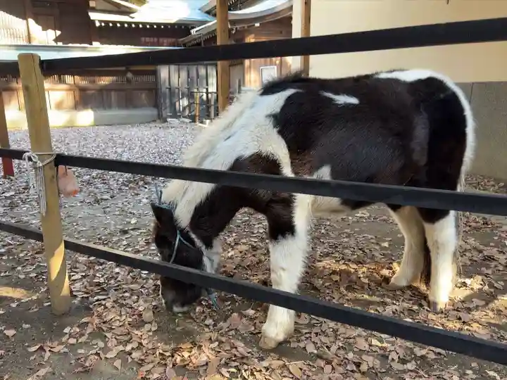 平塚八幡宮(神奈川県)