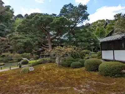青蓮院門跡(京都府)