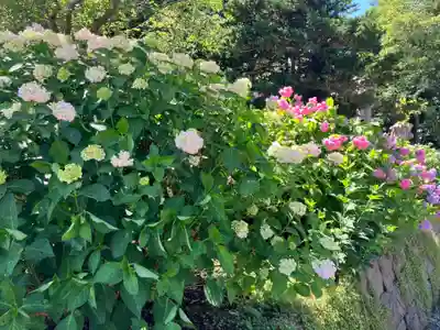 有珠善光寺(北海道)