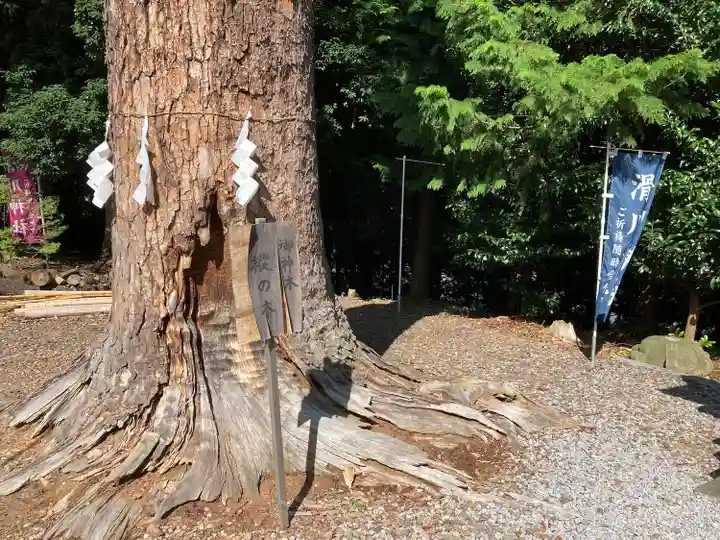 滑川神社 - 仕事と子どもの守り神の自然
