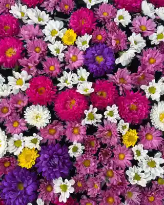 大鏑神社(福島県)