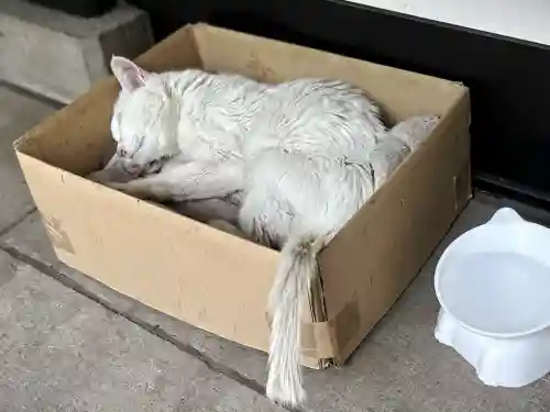 愛宕神社(東京都)
