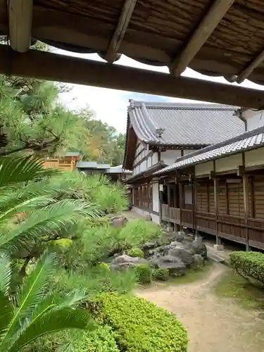 達磨堂 円福寺 の庭園