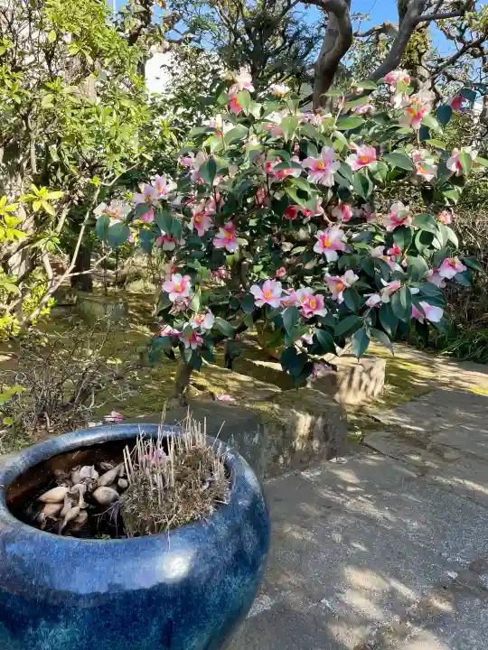 栄松院の{uncategorized: "未分類", other: "その他", undefined: "問題あり", building: "その他建物", grave: "お墓", sacred_gate: "鳥居", guardian: "狛犬", statue: "像", buddha: "仏像", history: "歴史", nature: "自然", garden: "庭園", animal: "動物", pagoda: "塔", temizu: "手水舎", mountain_gate: "山門・神門", sanctuary: "本殿・本堂", subordinate: "末社・摂社", art: "芸術", scenery: "景色", jizo: "地蔵", ema: "絵馬", goshuin: "御朱印", omikuji: "おみくじ", items: "授与品その他", amulet: "お守り", goshuincho: "御朱印帳", eats: "食事", festival: "お祭り", votive_dance: "神楽", shichigosan: "七五三参", wedding: "結婚式", experience: "体験その他", initially: "初詣", around: "周辺", anti_infection: "感染症対策"}