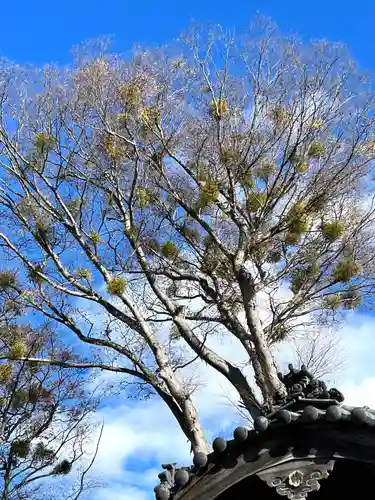 小諸八幡宮(長野県)