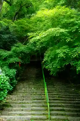 新田神社(鹿児島県)