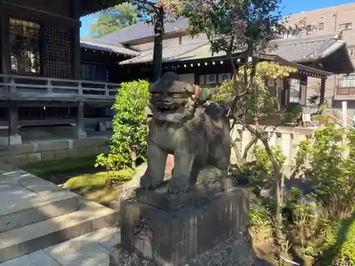 白山神社の狛犬