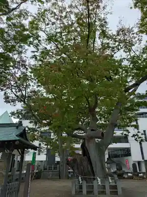 阿邪訶根神社(福島県)