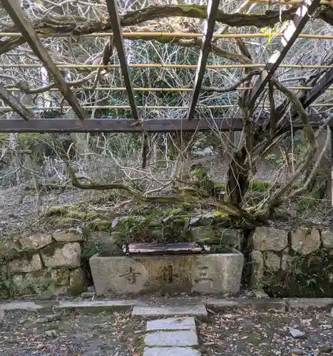 園城寺（三井寺）(滋賀県)