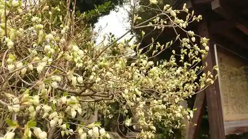 伊勢神社の自然