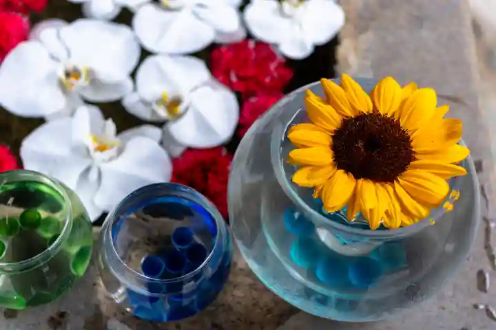 彦島八幡宮(山口県)