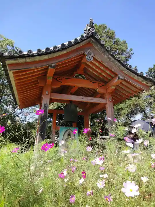 般若寺 ❁コスモス寺❁のその他建物