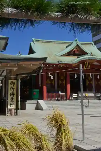 東京羽田 穴守稲荷神社(東京都)