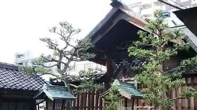 市姫神社の本殿・本堂