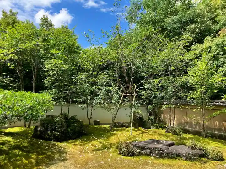 妙心寺(妙心禅寺)(京都府)