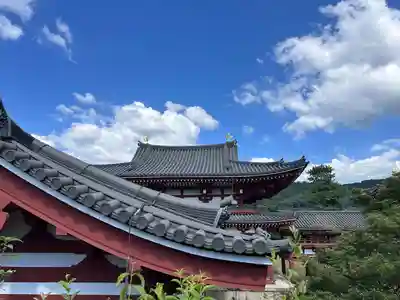 平等院(京都府)