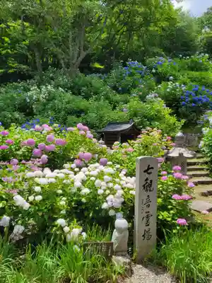 観音寺(京都府)