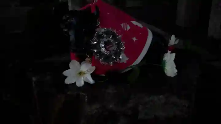 大松禅寺(京都府)