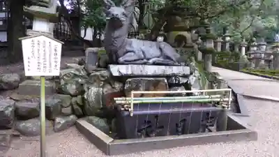 春日大社の手水舎