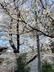 鳩ヶ谷氷川神社(埼玉県)