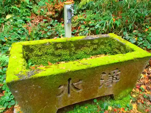 春日神社の手水