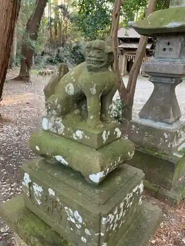 坂本神社の狛犬