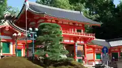 八坂神社(祇園さん)の山門