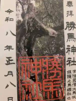 大杉神社の御朱印