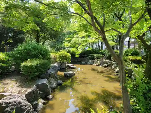 豊國神社の庭園