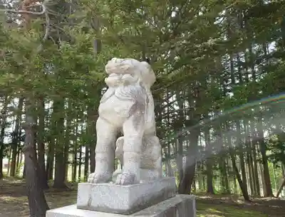 網走神社の狛犬