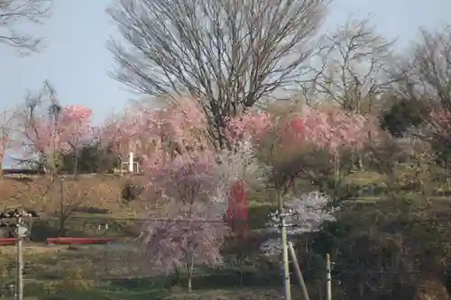 阿久津「田村神社」（郡山市阿久津町）旧社名：伊豆箱根三嶋三社の景色