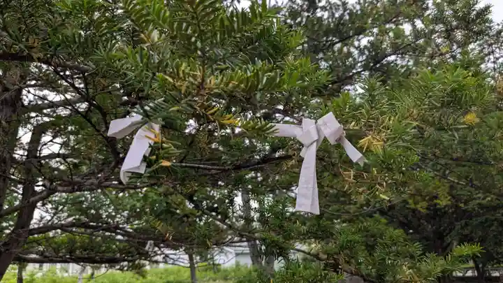瓜幕神社のおみくじ