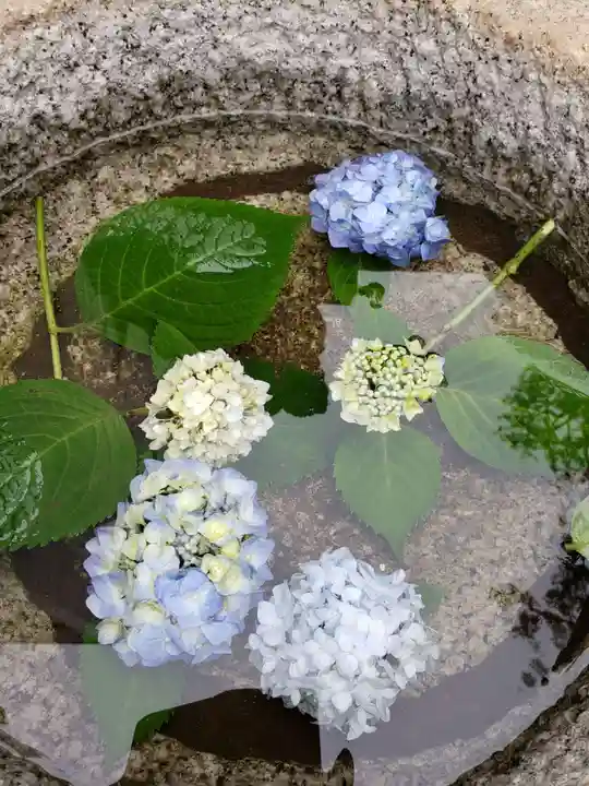 皆中稲荷神社の手水舎