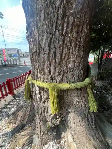 鴻神社(埼玉県)