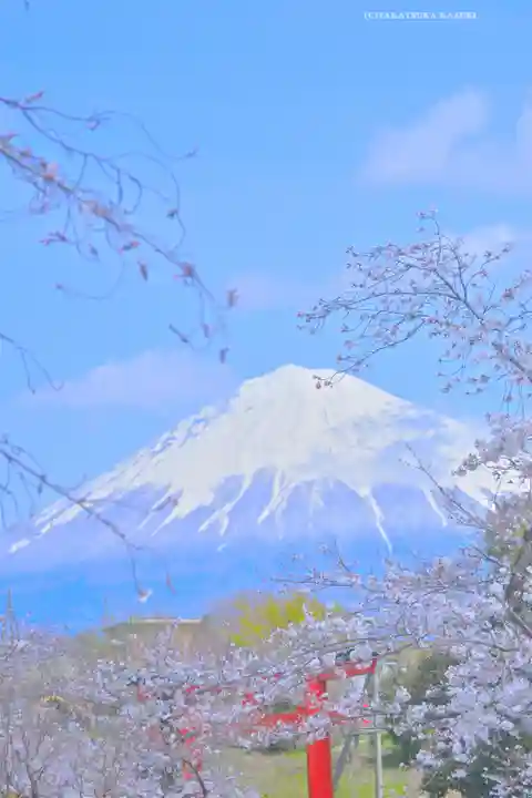 富士山本宮浅間大社(静岡県)
