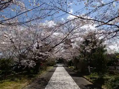高麗神社の周辺