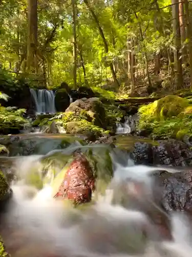 天徳寺(福井県)